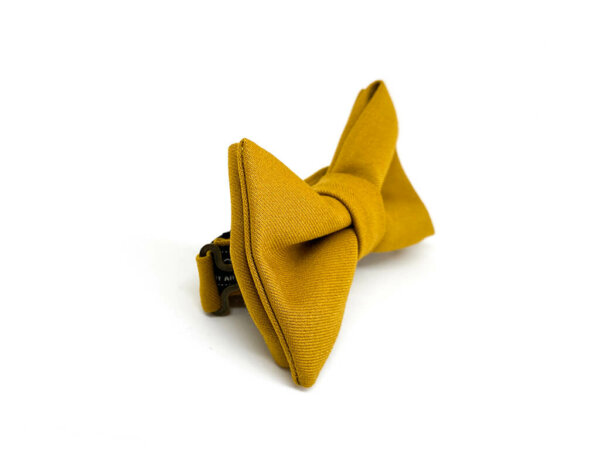 Jaune moutarde – Image 2