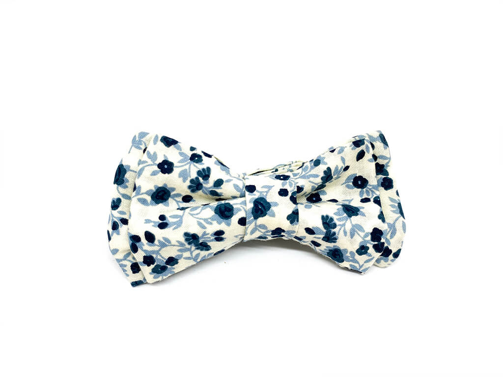 Prince bleu neige papillon